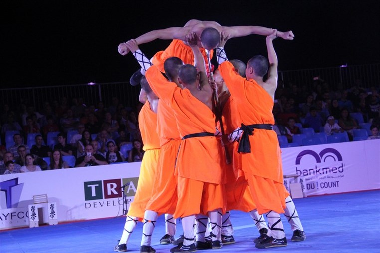 Martial Arts Festival